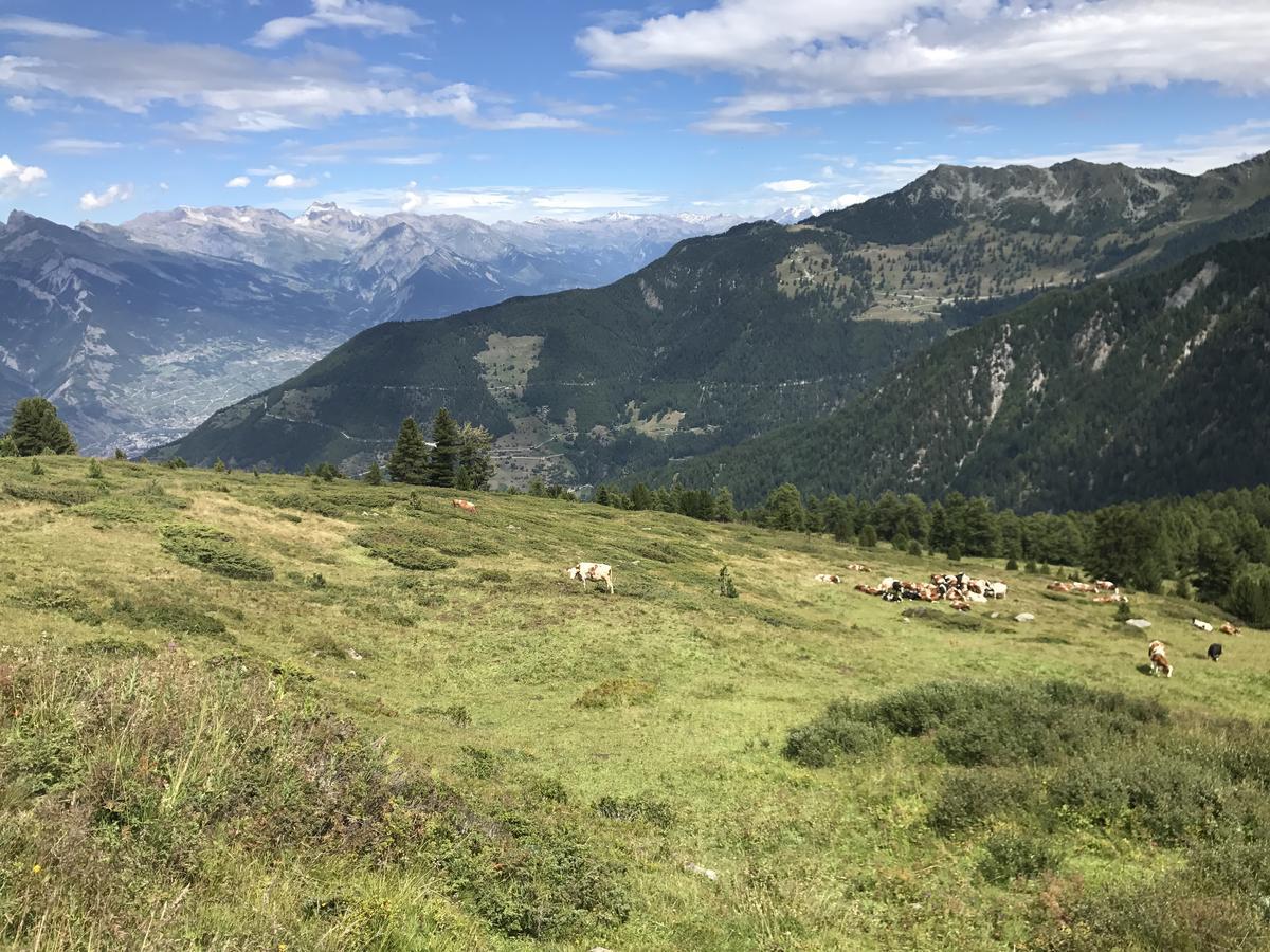 Chalet Clochette 4 Valles-Verbier La Tzoumaz Ngoại thất bức ảnh
